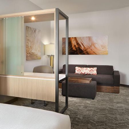 Springhill Suites By Marriott Jacksonville Baymeadows Екстер'єр фото